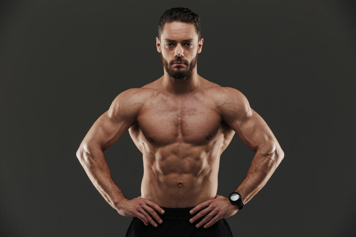 transformation musculaire