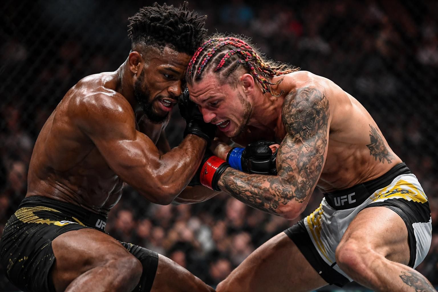 découvrez les grandes rivalités passionnantes parmi les poids coqs à l'ufc à suivre de près pour des combats intenses et des moments mémorables.
