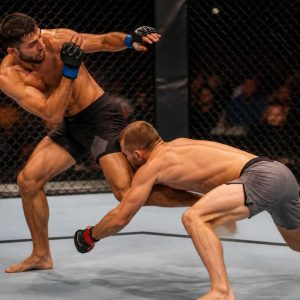 découvrez comment les combattants poids légers à l'ufc redéfinissent le style de combat moderne grâce à leur agilité, techniques innovantes et stratégies dynamiques.